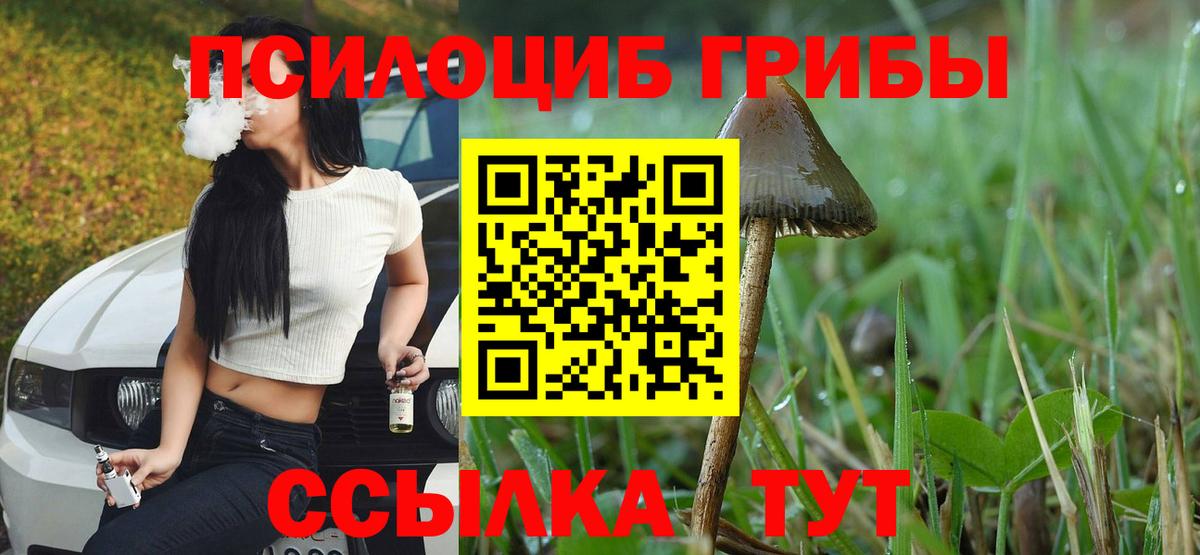 Пыть-Ях  Псилоцибиновые грибы GOLDEN TEACHER  Вход с VPN 